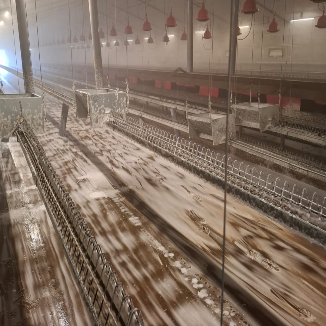 reinigen van stallen - VSJ cleaning