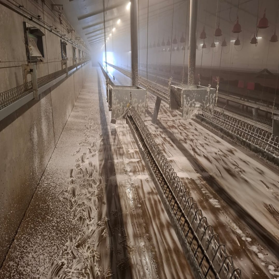 reinigen van stallen - VSJ cleaning