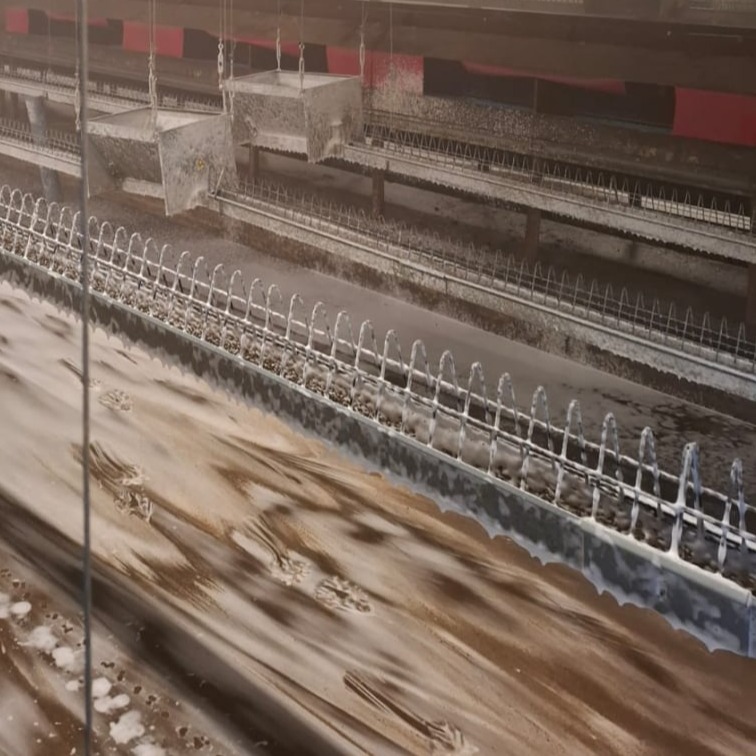 reinigen van stallen - VSJ cleaning