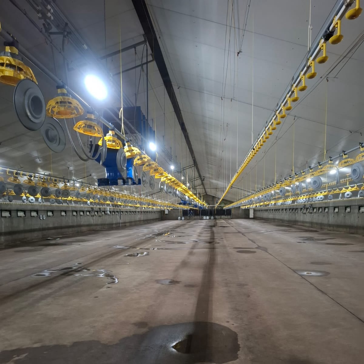 reinigen van stallen - VSJ cleaning